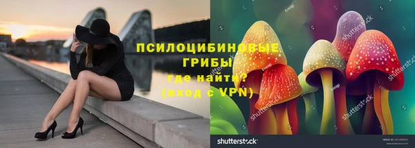 COCAINE Бородино
