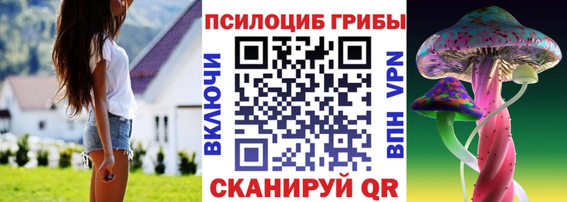 наркота  Воскресенск  Галлюциногенные грибы Psilocybe 