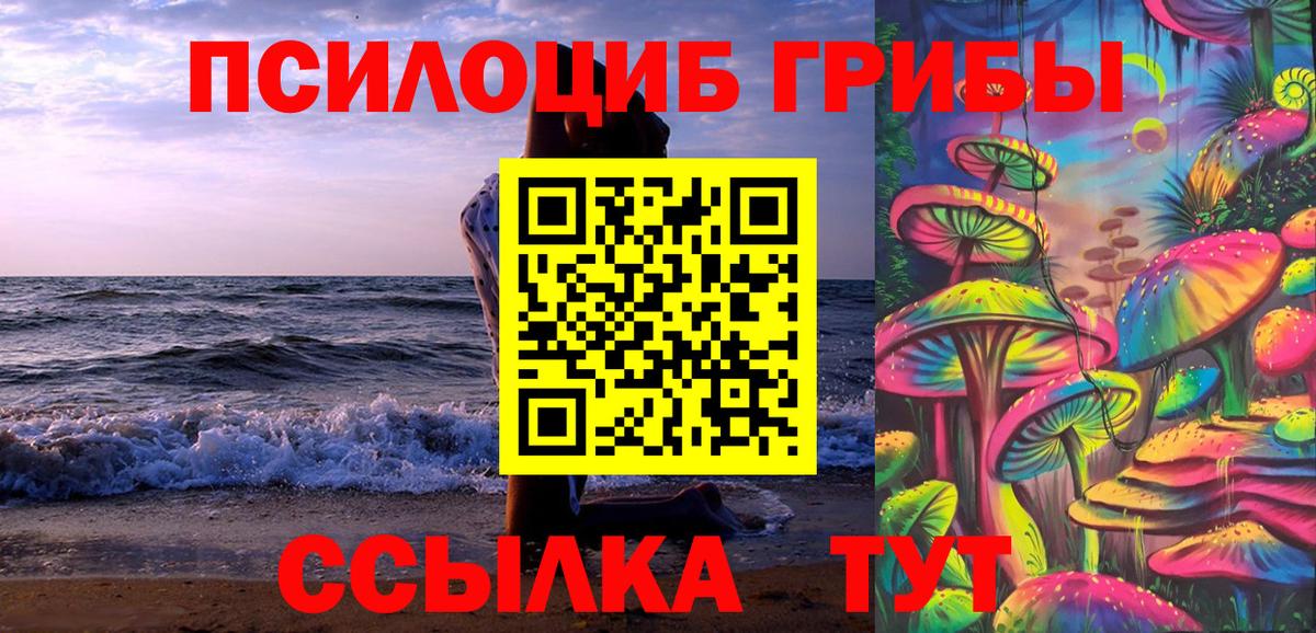 где купить   Галлюциногенные грибы MAGIC MUSHROOMS  Вход с VPN  Воскресенск 